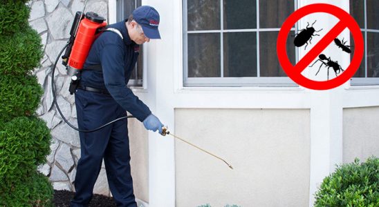 Çan Hamam Böceği İlaçlama böcek ilaçlama ve haşere kontrolü — ilaclama-tr.com